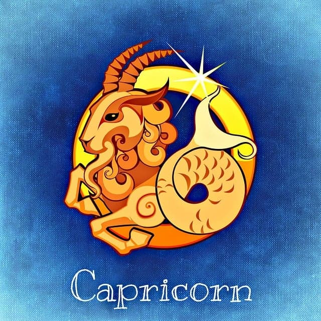 Capricorn zodiac artwork
