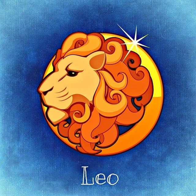 Leo zodiac artwork