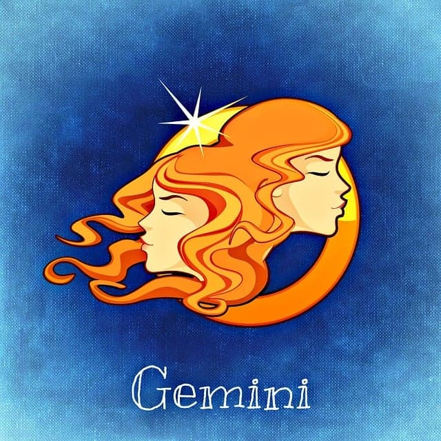 Gemini zodiac artwork