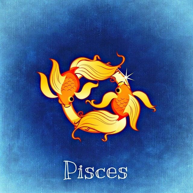 Pisces zodiac artwork
