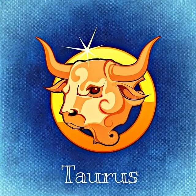 Taurus zodiac artwork